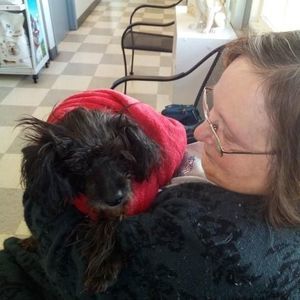 Meet your Posher, Laura